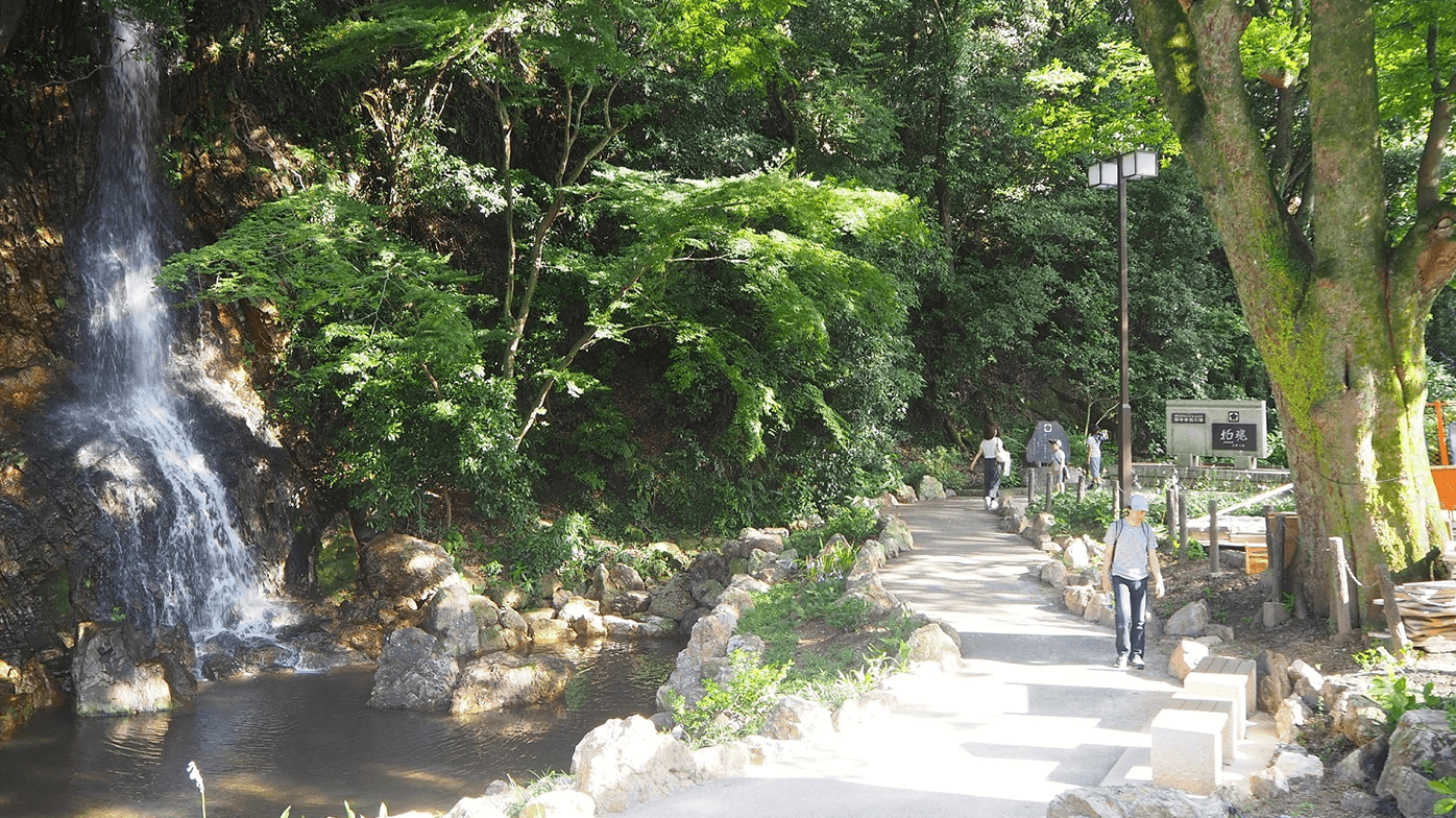Gifu Park: Chibikko Tenka Hiroba (2018), Mitarashi Pond (2020) example2