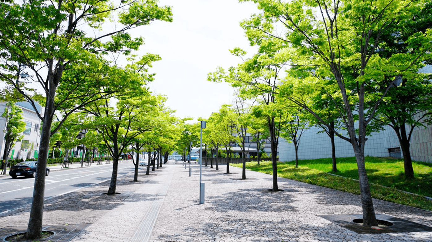 Sekinoshita land readjustment project, Natori City, and Shimomasuda Rinku land readjustment project
/ Natori Rinku Town (2003–2012) example4